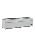 TEFCOLD SFI 250 F VS