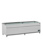 TEFCOLD SFI 250 F VS